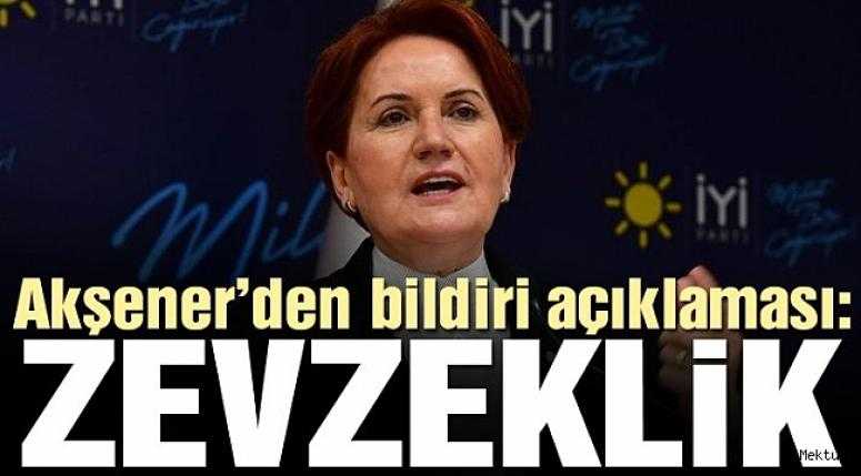 Akşener: Kişisel fikrim bu bildiri bir zevzekliktir